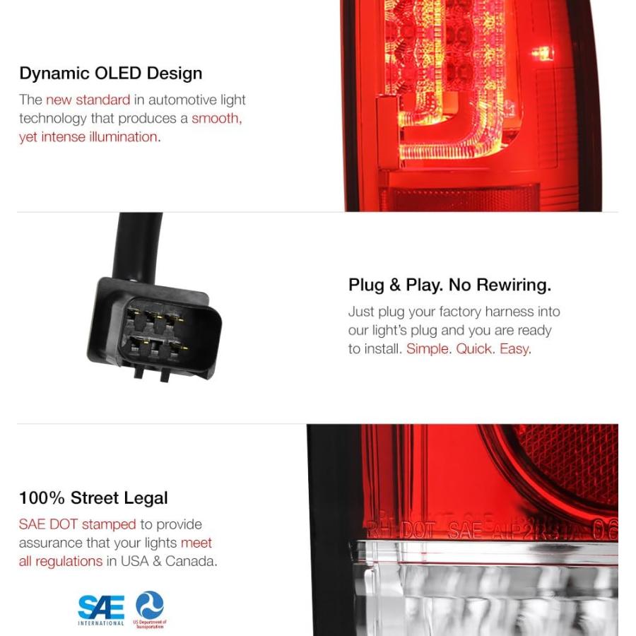 【並行輸入品】VIPMOTOZ プレミアム LED テールライトランプ 2002-2006 Dodge RAM 1500 2500 3500用 Dri_1