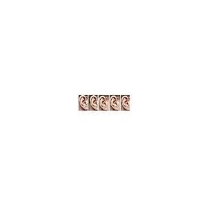 【並行輸入品】1?/ 2? ?10カラット合計重量Rubyスタッドイヤリング4プロングプッシュバック 1/2 0.5 Carat Total Wの画像
