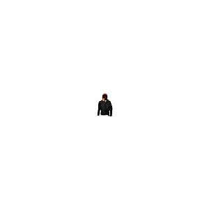 【並行輸入品】Helly Hansen メンズ ワークウェア チェルシー エボリューション ウィンタージャケット 黒檀   2XL Hellyの画像