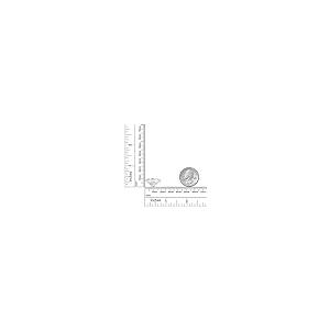 【並行輸入品】[Gem Stone King] 1.6カラット モアサナイト Charles & Colvard 指輪 リング レディース シンの画像