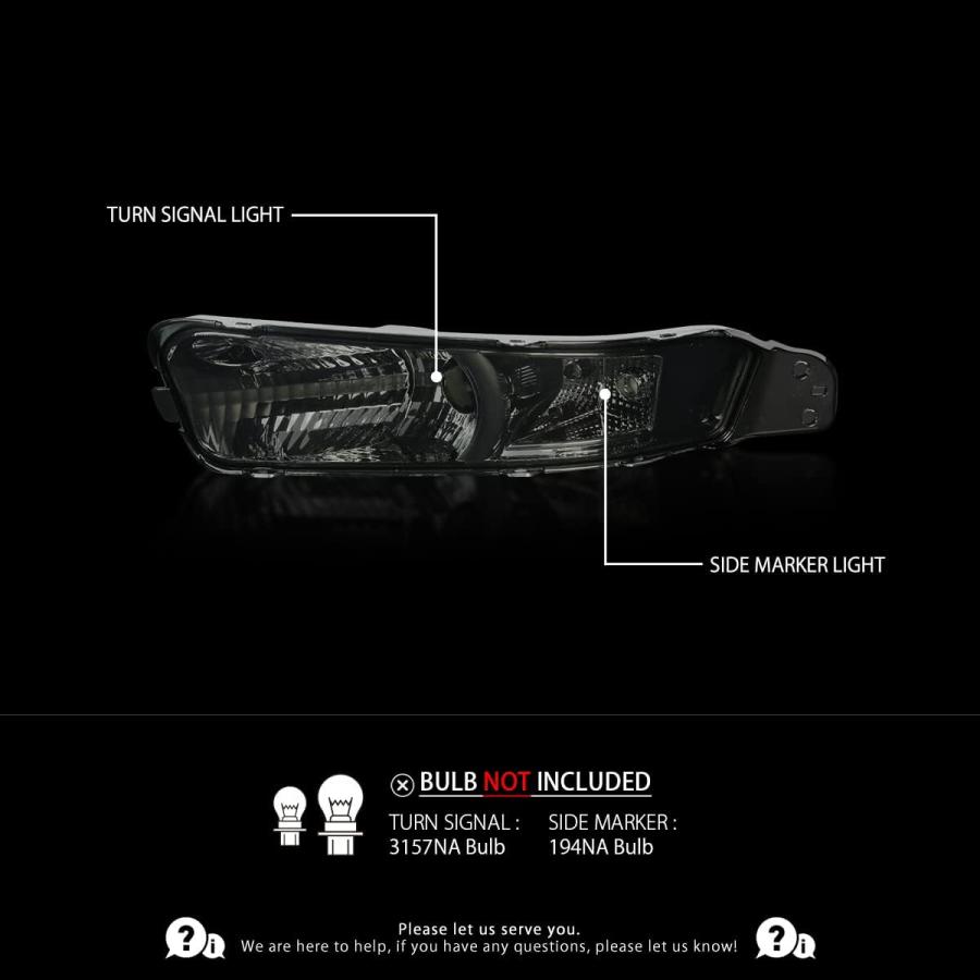 【並行輸入品】Autozensation Compatible with Ford Mustang 2005-2009  Smoke Lens Bum_1