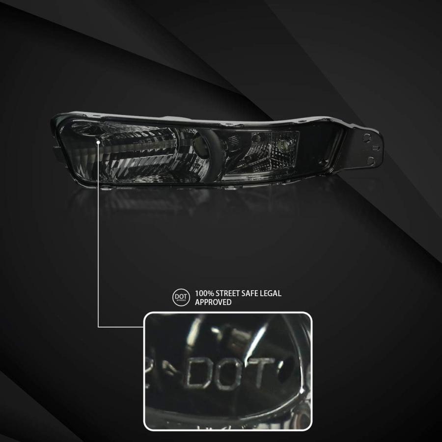 【並行輸入品】Autozensation Compatible with Ford Mustang 2005-2009  Smoke Lens Bum_2