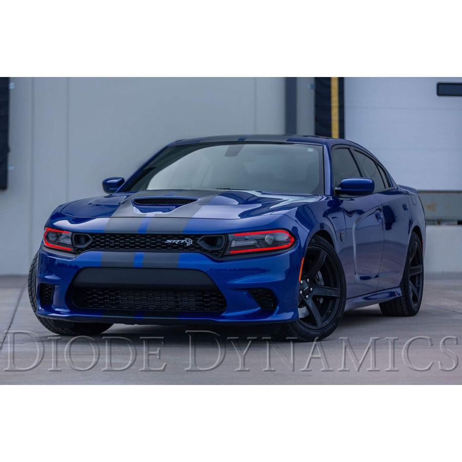 【並行輸入品】ダイオード ダイナミックス RGBW マルチカラー LEDボード Dodge Charger 2019-2021対応の画像