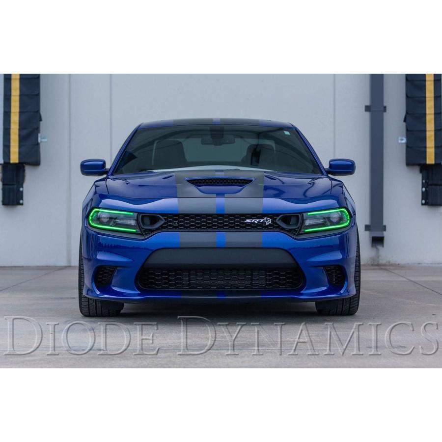 【並行輸入品】ダイオード ダイナミックス RGBW マルチカラー LEDボード Dodge Charger 2019-2021対応の画像