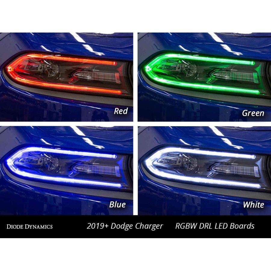 【並行輸入品】ダイオード ダイナミックス RGBW マルチカラー LEDボード Dodge Charger 2019-2021対応の画像