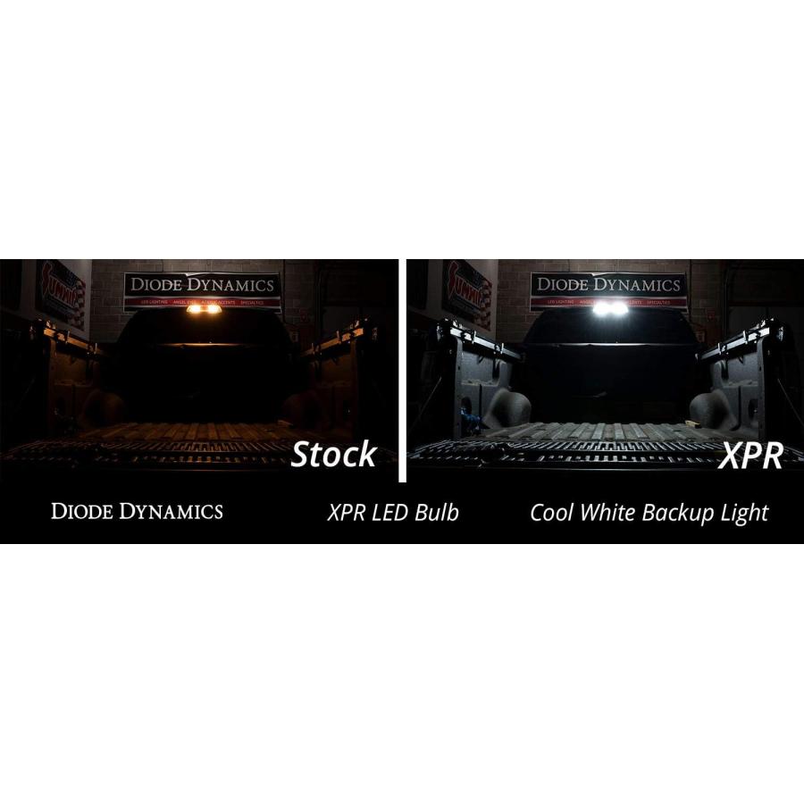 【並行輸入品】Diode Dynamics 921 XPR Cool White Backup LED Bulbsの画像