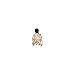 【並行輸入品】Spyder Women's Alyce Short Puffer Jacket, Rose Gold Largeの画像