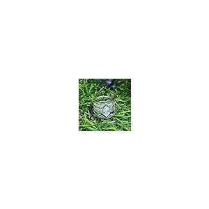 【並行輸入品】SAVEARTH DIAMONDS マーキス&ラウンドカット 人工モアッサナイトダイヤモンド ウェディングブライダルリングセット