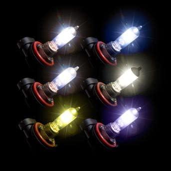 【並行輸入品】Putco Pure Halogen Replacement Light Bulbs 9004 Double White　
