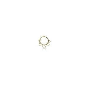 【並行輸入品】Mooncrush Jewelry ミニマリスト フラワー G23 ソリッドチタンセプタムリング 16G セプタムクリッカー サイ_2