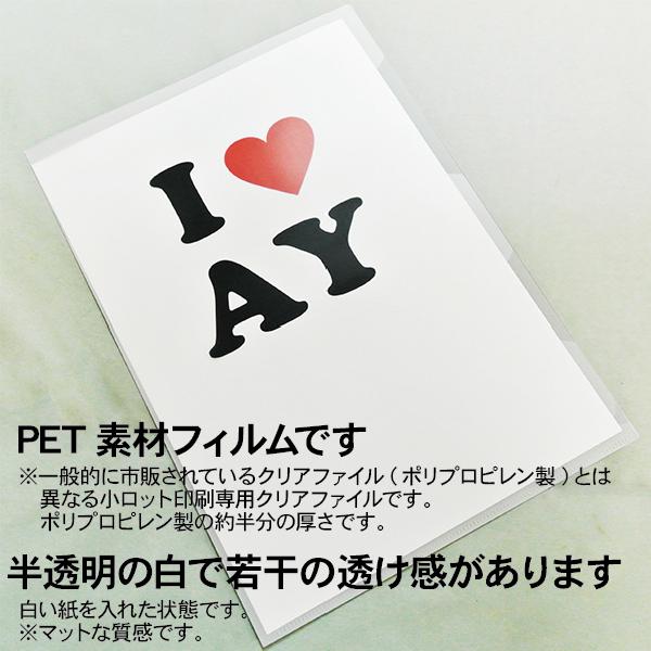 オリジナルクリアファイルa4サイズ ひとつのデザインで51 100枚製作 Clearfile 05 デジタル工房gazo 通販 Yahoo ショッピング