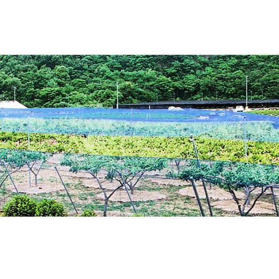 シンセイ 強力防鳥網（30mm目合）100坪用 18×18m ブルー 果樹園 田畑