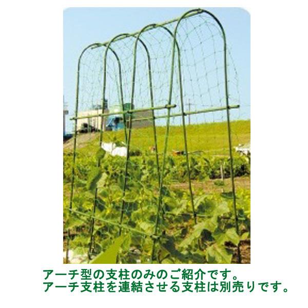 【法人様のみ】【10本組】DAIM アーチ支柱　Φ16mm 間口75×高さ210cm【送料無料】