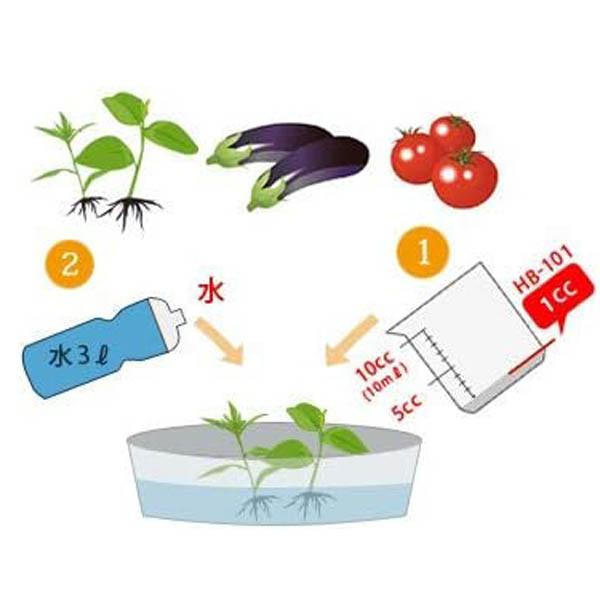 フローラ　ＨＢ−１０１　天然植物活力液　500CC　減農薬　天然由来｜good-goods-bizz｜03