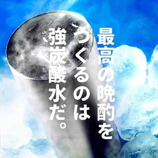 アイリス　富士山の天然水　強炭酸水レモン　500ml×24本入/ケース｜good-goods-bizz｜02