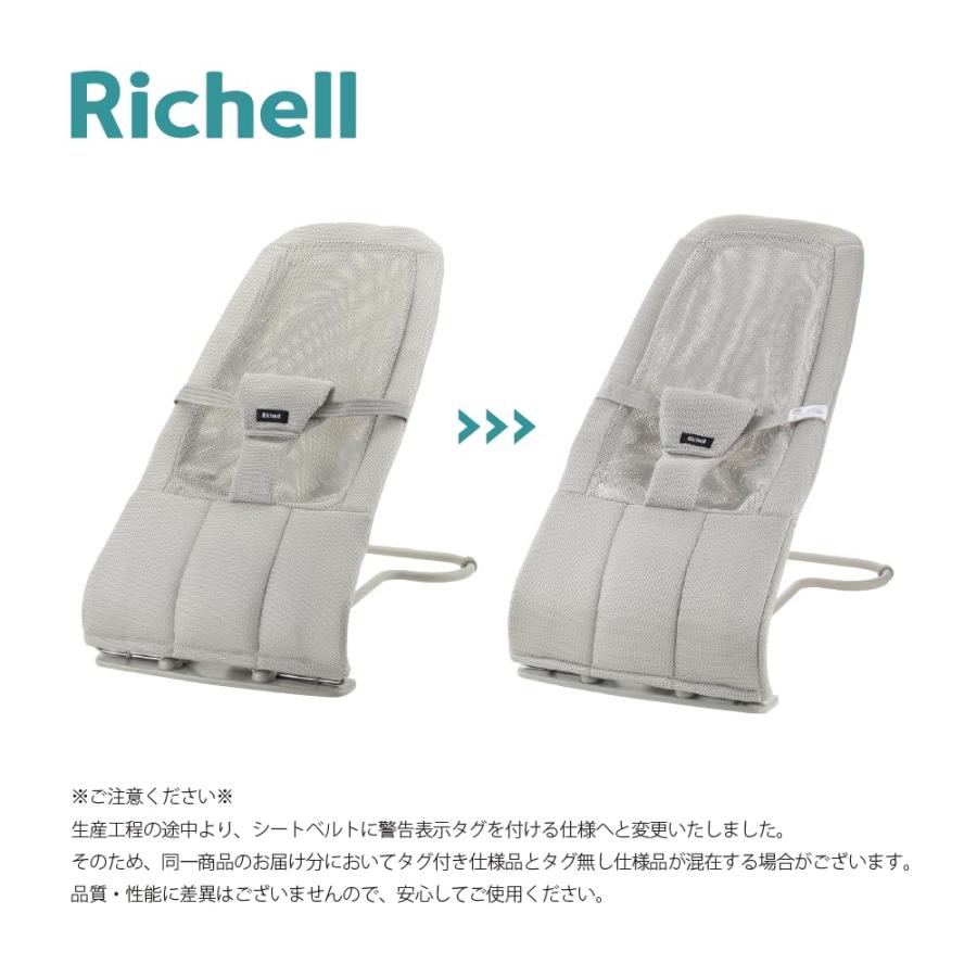 リッチェル(Richell) バウンシングシートN ライトグレー 対象月齢：1カ月〜24カ月頃 折り畳み可能_2