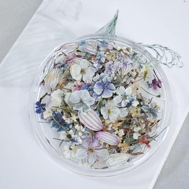 AAGWW】 ドライフラワー ネイルパーツ 押し花 天然花 花