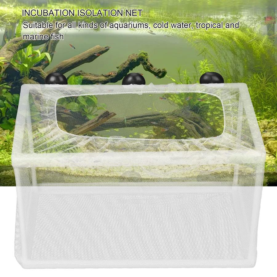 水槽隔離ボックス 取り外し可能 魚の隔離 産卵箱 稚魚保護 生存 水槽隔離ボックス 取り外し可能 魚の隔離 産卵箱 稚魚保護 生存