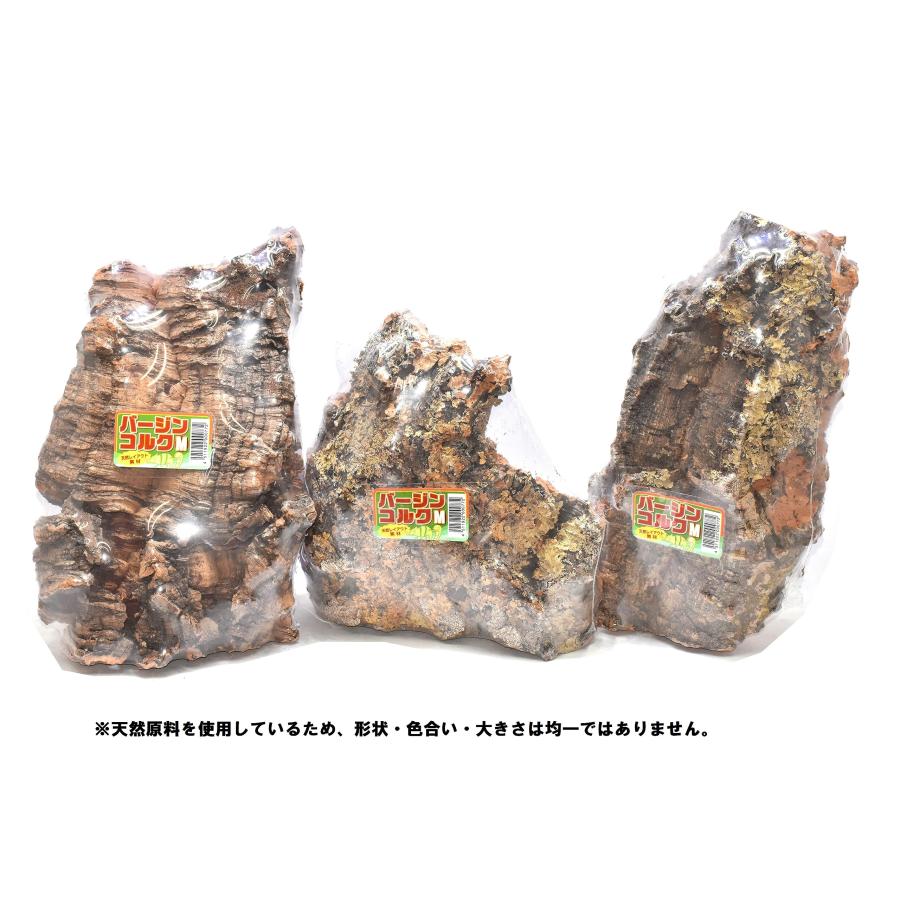 キンコウ物産 バージンコルク M (実際の形状や色とは異なります キンコウ物産 バージンコルク M (実際の形状や色とは異なります