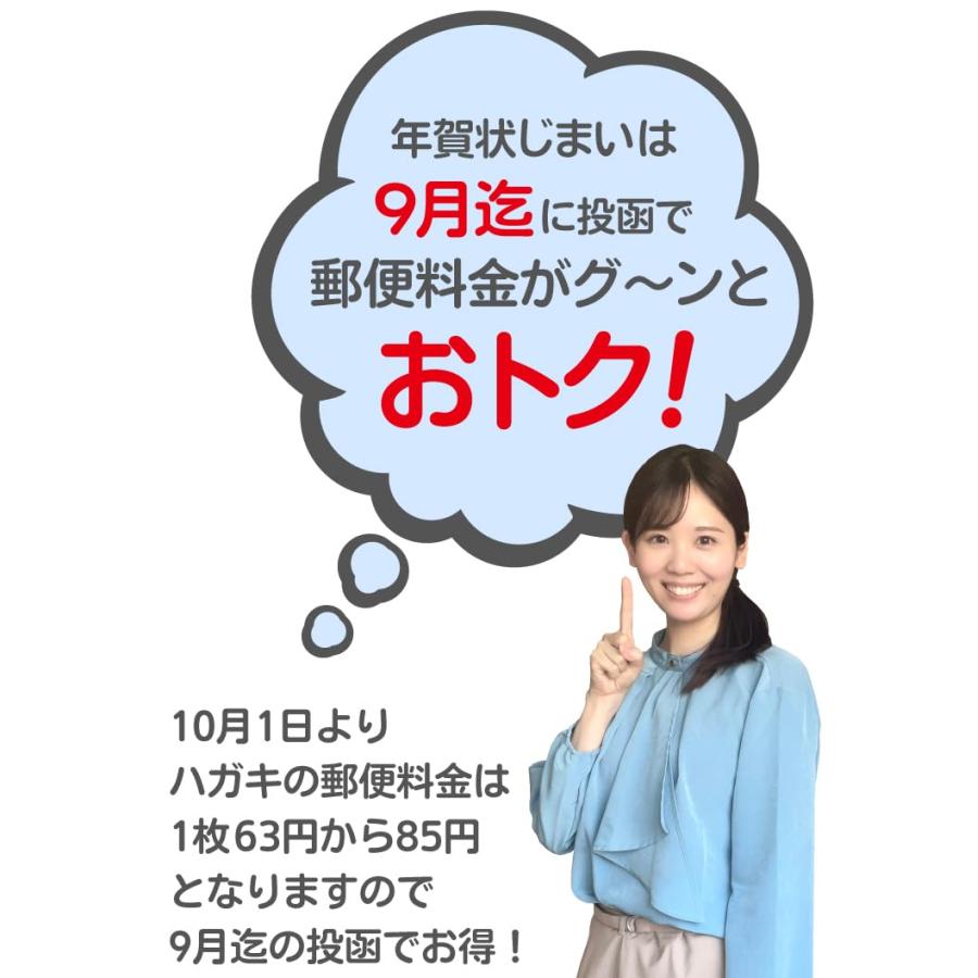 年賀状じまい 葉書 10枚 私製ハガキ〈S-NJ201 リーフ〉 : Good
