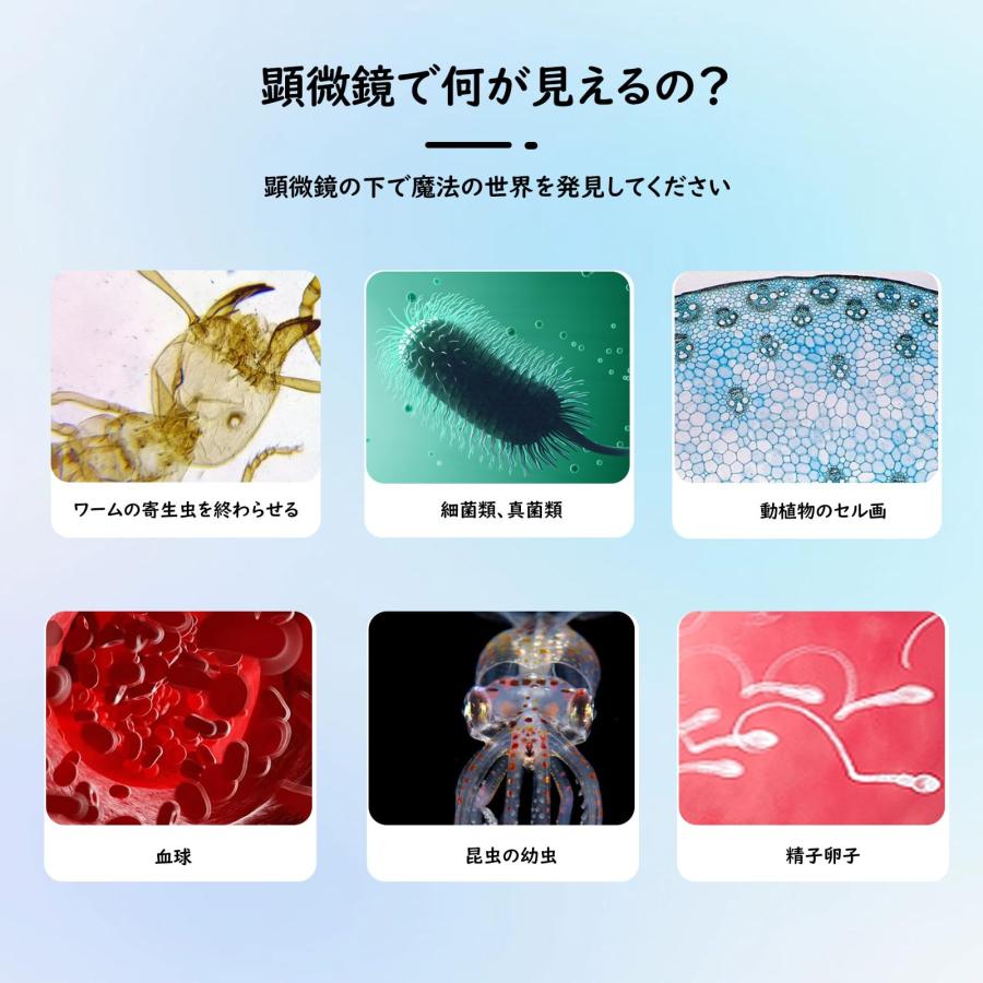 Misoterm 複合型双眼顕微鏡 40X〜2000倍 デュアルLED照明顕微鏡 Misoterm 複合型双眼顕微鏡 40X〜2000倍 デュアルLED照明顕微鏡