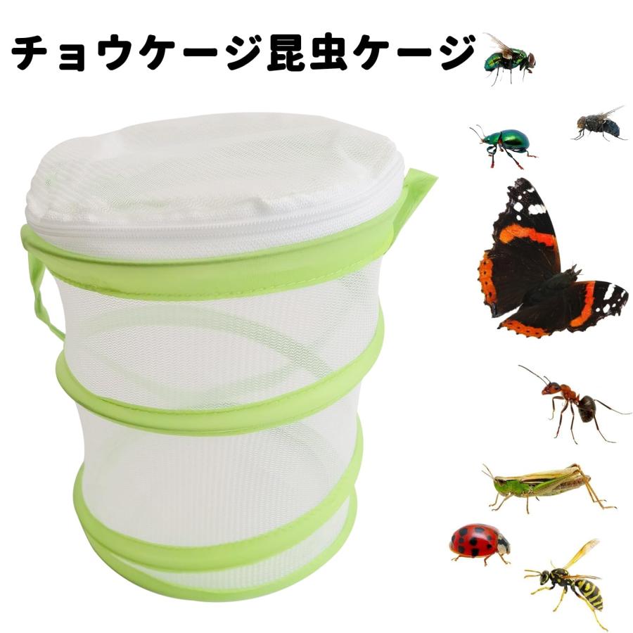 EsiFare?虫捕りあみ 伸縮可能 虫取り 蝶 飼育ケース 虫かご EsiFare?虫捕りあみ 伸縮可能 虫取り 蝶 飼育ケース 虫かご