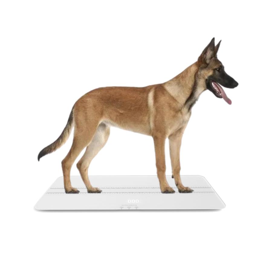 大型犬用の体重計, ペット 体重計, ペットスケール (サイズ:70x 大型犬用の体重計, ペット 体重計, ペットスケール (サイズ:70x