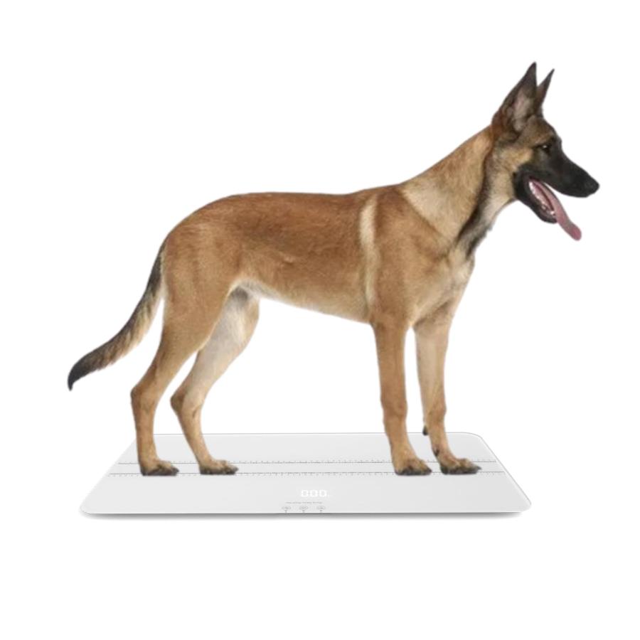 大型犬用の体重計, ペット 体重計, ペットスケール (サイズ：70x 33 cm