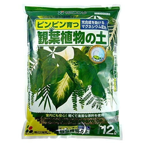 花ごころ 観葉植物の土 マグネシウムで葉の色鮮やか 12L