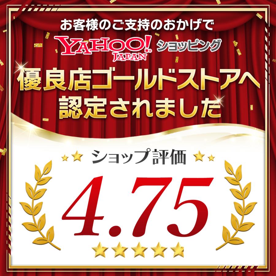 ガラスペン インクセット 硝子ペン 万年筆 つけペン