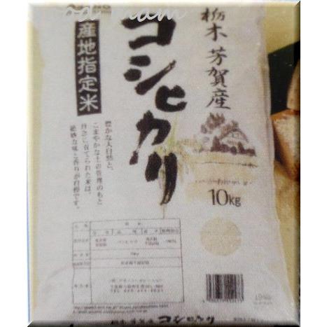コシヒカリ栃木県芳賀産こしひかり お米10Kg産地指定米 コシヒカリ栃木県芳賀産こしひかり お米10Kg産地指定米