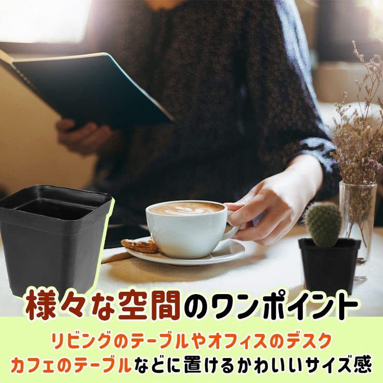 多肉植物用 プランター フラワーポット ミニサイズ 50個セット 多肉植物用 プランター フラワーポット ミニサイズ 50個セット