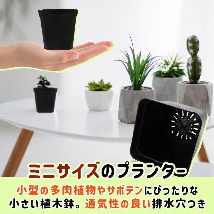 多肉植物用 プランター フラワーポット ミニサイズ 50個セット 多肉植物用 プランター フラワーポット ミニサイズ 50個セット