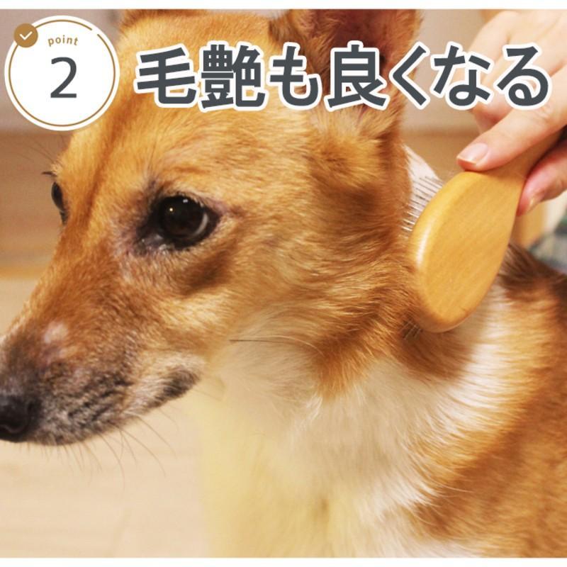 きえーる ペット用 ペット消臭剤 ペット消臭スプレー 詰替 4L 環境大善 天然成分 無香料 ×3個セット_6
