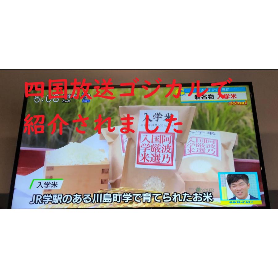 【５袋セット】入学米　合格祈願に入学米　１袋３００ｇ（２合）×５　　徳島県吉野川市川島町学産 |  | 02
