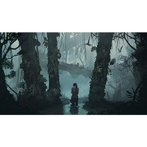 Shadow of the Tomb Raider - Croft Steelbook Edition 輸入版:北米 - XboxOne 並行輸入｜good-quality｜04