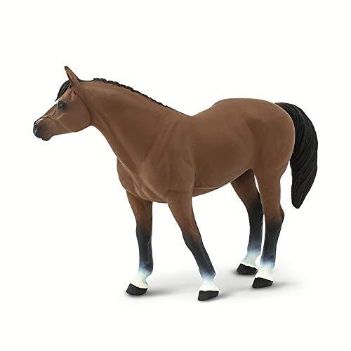 Quarter Horse Gelding 並行輸入｜good-quality｜03