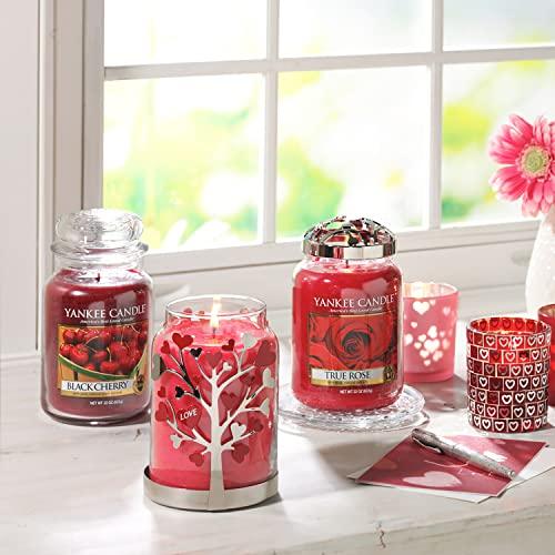 Yankee Candle Large Jar Candle  Black Cherry by Yankee Candle 並行輸入｜good-quality｜02