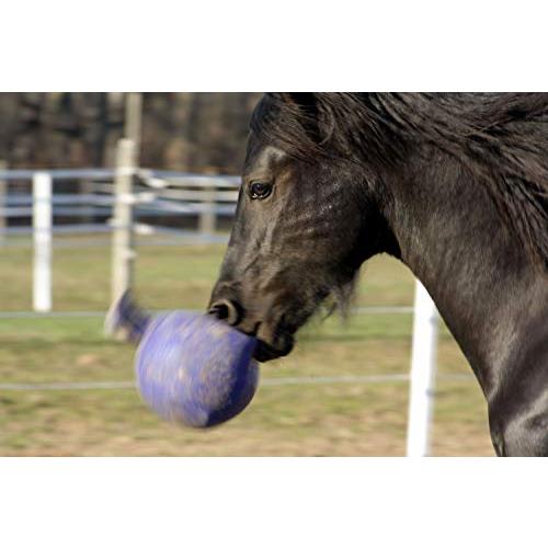 Horsemen's Pride 10 Horse Jolly Ball Purple by Horsemen's Pride 並行輸入｜good-quality｜03