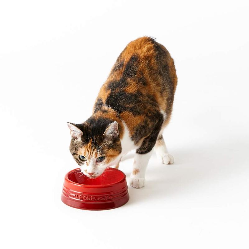 ル・クルーゼ(Le Creuset) ペットボウル ペットボール(S) クールミント 犬 猫 防汚 電子レンジ 対応 【日本正規販売品】｜good-smiley｜03