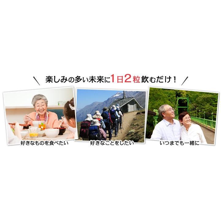 DHC レスベラトロール 長命草 30日分 2個セット | DHC | 01