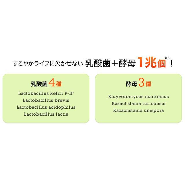 DHC 国産パーフェクト野菜プレミアム 60日分 4個セット | DHC | 02