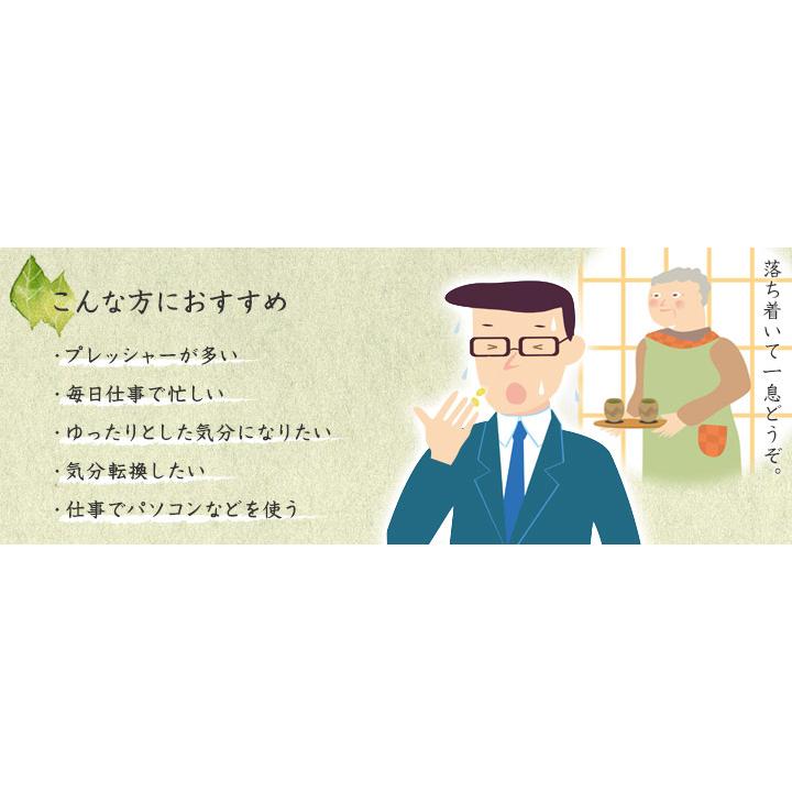 DHC リラックスの素 30日分 5個セット | DHC | 01