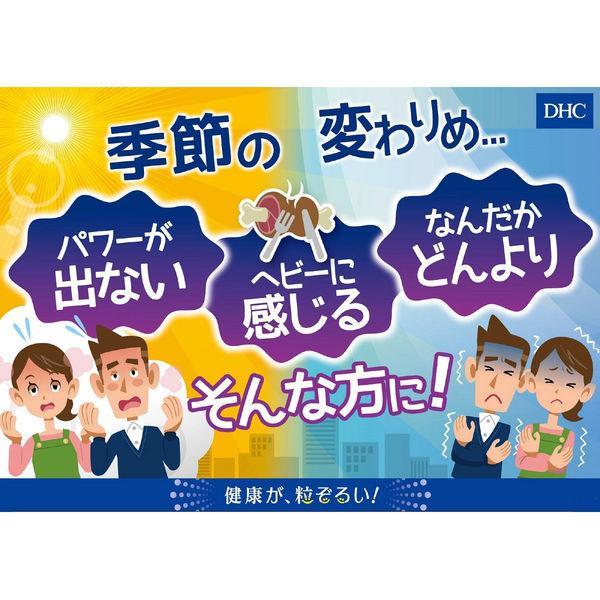 DHC マカストロング 20日分 3個セット | DHC | 04