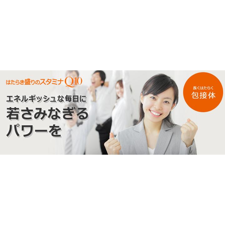 DHC コエンザイムQ10包接体 60日分 4個セット | DHC | 01