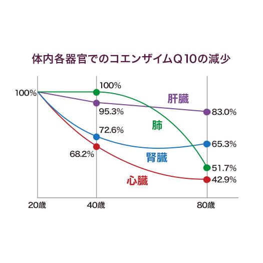 DHC コエンザイムQ10包接体 60日分 4個セット | DHC | 02