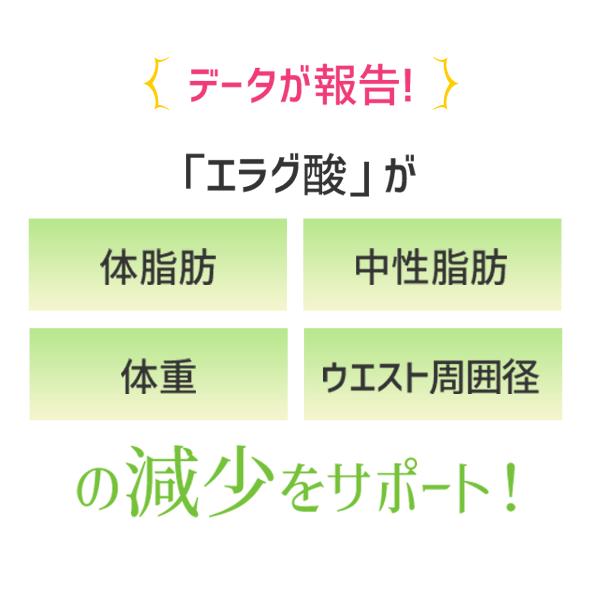 DHC ウエスト気になる 30日分 5個セット | DHC | 04