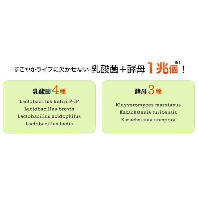 DHC 国産パーフェクト野菜プレミアム 30日分 3個セット | DHC | 02