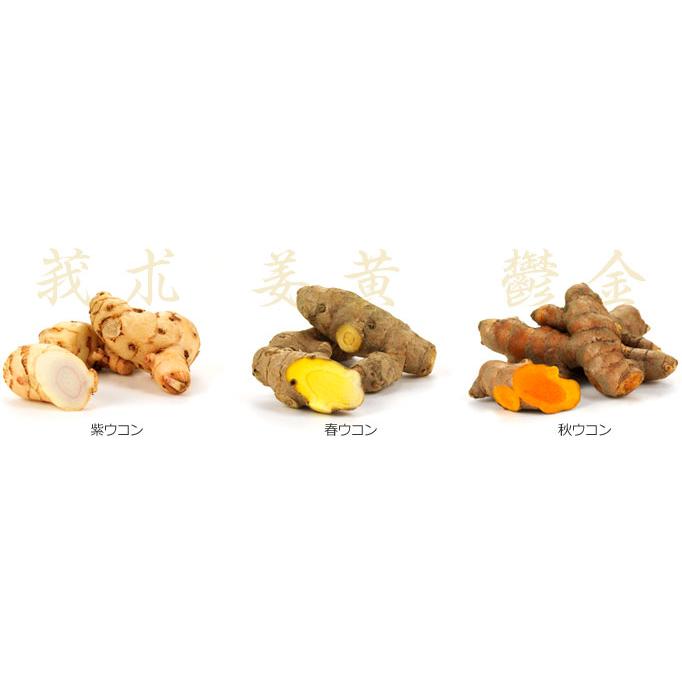 DHC 濃縮ウコン 60日分 2個セット |  | 01