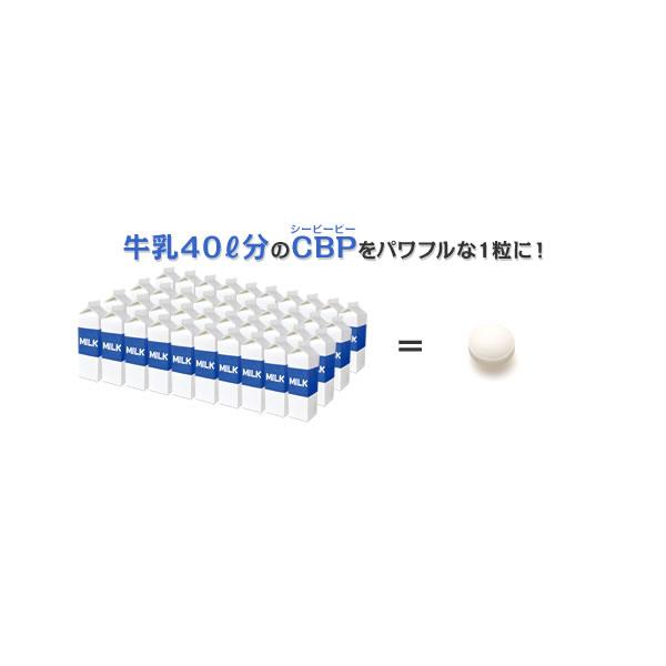 DHC コツプレミアムCBP 30日分 2個セット | DHC | 01